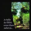 FB IMG 1594133446728