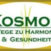 Logo Kosmos 2011
